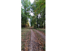 IMG 20210919 105122.jpg