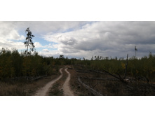 IMG 20210918 112947.jpg