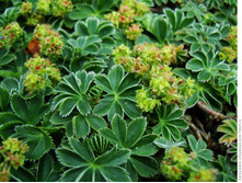 �������� ���������.jpg