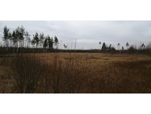 IMG 20211030 122213.jpg