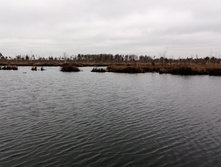 IMG 20211030 104239.jpg