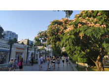 IMG 20210717 184106.jpg