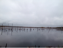 20211002 �����BikeTrip 135105.jpg