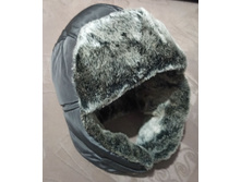 ������ �����