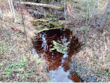 20211023 ��̣��� ��� 105952.jpg