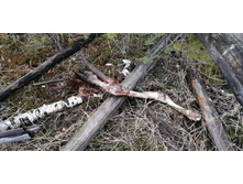 IMG 20211030 125013.jpg