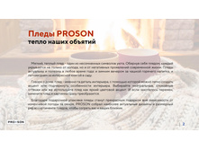 ����������� ���������� PROSON 22.jpg