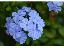 ��������� ������� - 200 ���.