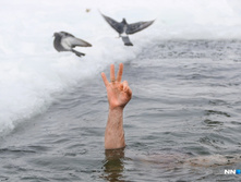 C09374d7263cdc11484bc91475c29f8f68ef6ebe 727.jpg