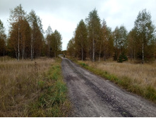 20211002 �����BikeTrip 111711.jpg