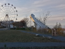 IMG 20211017 161446.jpg