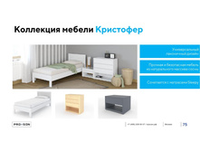 ����������� ������� ����������� PROSON 10.jpg