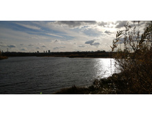 IMG 20211017 143349.jpg