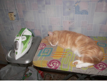 ������� ���� - ���������!