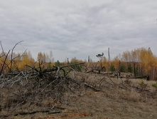 IMG 20211016 112947.jpg