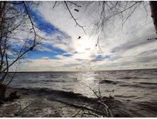 IMG 20211023 115053-01.jpeg