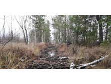 IMG 20211030 103443.jpg