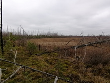 IMG 20211030 115159.jpg