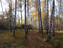 IMG 20211009 154033.jpg