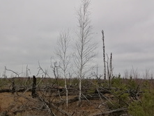 IMG 20211030 114509.jpg