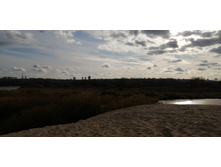 IMG 20211017 142755.jpg