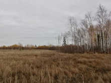 IMG 20211016 124916.jpg