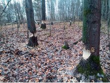 20211023 ��̣��� ��� 115712.jpg