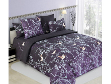 ��������� �������� «����� ������� 3», ����.jpg