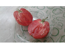 �������� ����� �.������