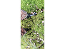 IMG 20211030 115437.jpg