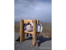 253527324-176712319 1363621344010552 4008968227255587184 n.jpg