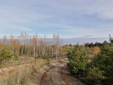 IMG 20211016 131759.jpg