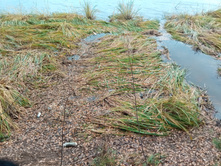 20211023 ��̣��� ��� 121646.jpg