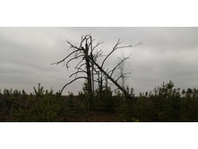 IMG 20211030 121552.jpg