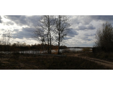 IMG 20211017 141650.jpg