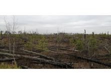 IMG 20211030 120610.jpg