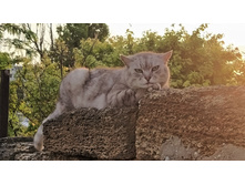 IMG 20210713 194332.jpg