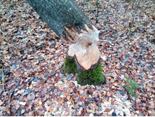 20211023 ��̣��� ��� 115640.jpg