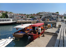 IMG 20210713 152447.jpg