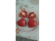 ������ ��������� 2