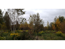 IMG 20211002 152136.jpg