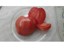 ���������� �����