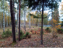 20211002 �����BikeTrip 114207.jpg