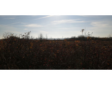 IMG 20211017 095328.jpg