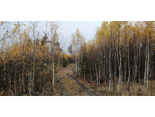 IMG 20211016 103255.jpg