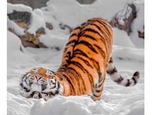 ����� ����� ����!