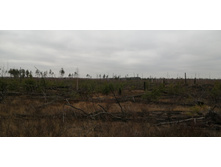 IMG 20211030 120839.jpg