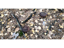 IMG 20211016 095538.jpg