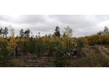 IMG 20211002 102242.jpg