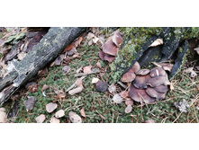 IMG 20211030 113808.jpg